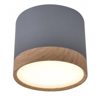Точковий світильник Candellux Tuba Сірий (2275925)
