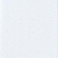 Панель ПВХ пластикова вагонка для стін та стелі RL 3013.7 Біла ніч Riko