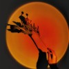 Проекційна настільна LED лампа RIAS Sunset Lamp Червоний захід сонця USB 5W (3_01613)