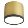 Точковий світильник Candellux Tuba Золотий (2275956)