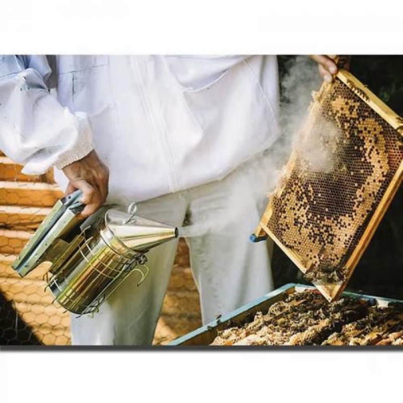 Димар пасічний з огорожею для бджільництва Lesko PYQ-003 26х18 см 13348-85962