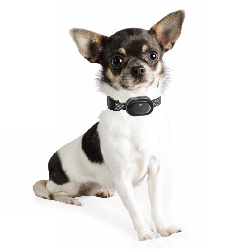 Електронний нашийник для маленьких собак дресирувальний з трьома видами впливу DOBE DB900X