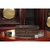 Скринька для зберігання годинників Salvadore WB/3085/BGB 23х12х9 см Коричнево-чорний