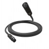 Кабель мікрофонний D'Addario PW-AMSM-25 American Stage Series Microphone Cable 7.62m (25ft)