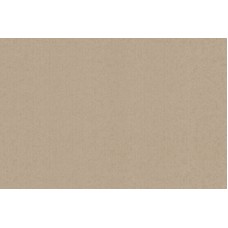 Шпалери Bravo вінілові на флізеліновій основі 81163ВR32 (1,06х10,05м.)