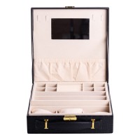 Кейс-органайзер для прикрас YIWU 26x26x9 см Чорний (HP-5-35B)