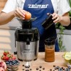 Соковитискач ZELMER ZJE4800 600 Вт Чорно-сірий (74723593)