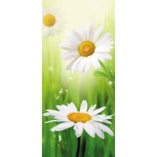 Фотошпалери Ролес Тріо ромашок 210х97