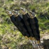 Шампур з дерев'яною ручкою Gorillas BBQ Кабан SKK68 45 см (5440)