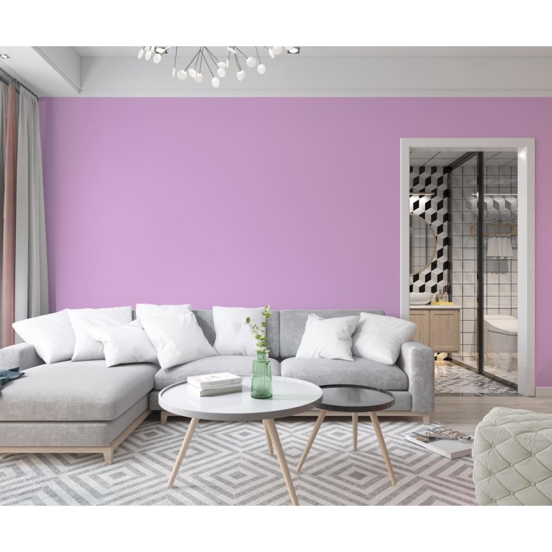 Фарба Інтер'єрна Латексна Skyline 1030-R40B Бузковий 5л