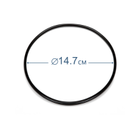 Ущільнювальне кільце для блока попередньої фільтрації (скімера) Intex 11232