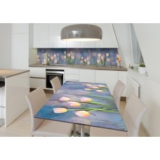 Наклейка 3Д вінілова на стіл Zatarga 