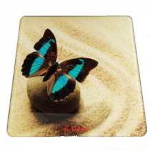 Ваги для підлоги A-PLUS до 180 кг (1677) Метелик на піску