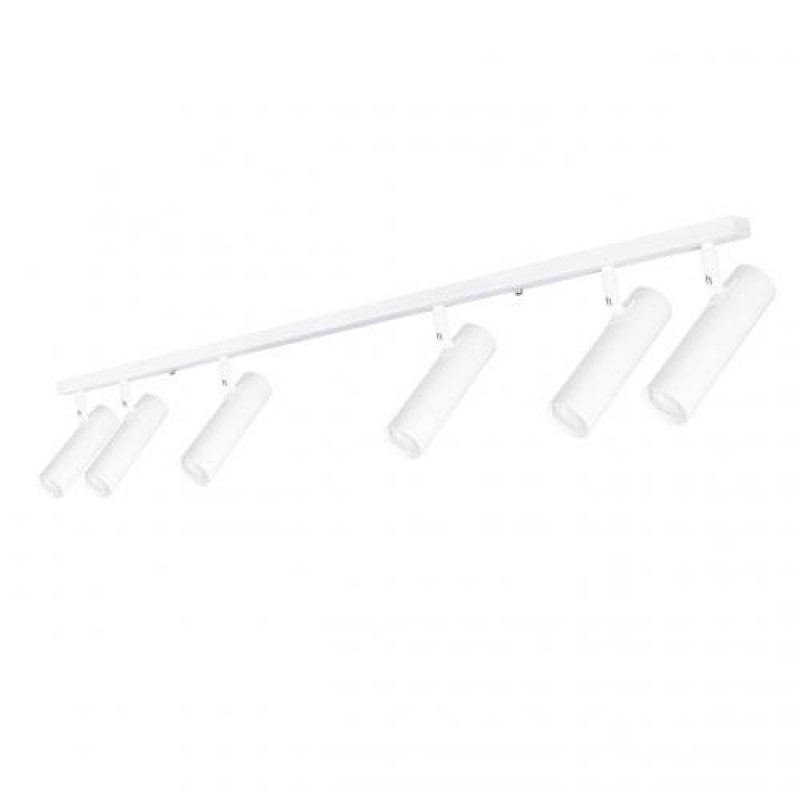 Світильник стельовий MSK Electric Telescope з повертними плафонами NL 22501-6 WH