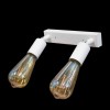 Світильник у стилі лофт із поворотним механізмом MSK Electric Asket NL 1222-2 W