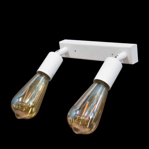Світильник у стилі лофт із поворотним механізмом MSK Electric Asket NL 1222-2 W