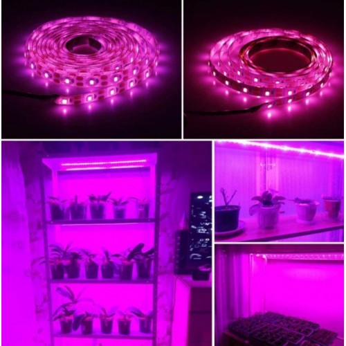 Фітолента для рослин CNV 120 LED IP65 2м USB 5В Фітолента для рослин CNV 120 LED IP65 2м USB 5В