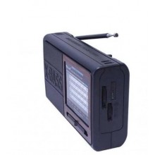 Портативний радіоприймач Golon RX-3050 AM/FM