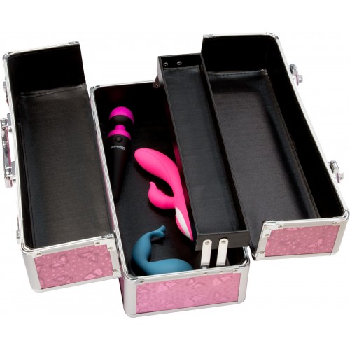 Великий кейс для зберігання секс-іграшок BMS Factory Large Lokable Vibrator Case Pink, кодовий замок в інтернет супермаркеті PbayMarket!