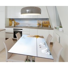 Наклейка вінілова на стіл Zatarga  