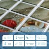 Декоративна ПВХ панель Мушлі 960х480х4мм SW-00001789 Sticker Wall