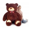 Плюшевий ведмедик Mister Medved Форрест 200 см Бурий (013)