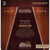 Струни для акустичної гітари D'Addario NB1256 Nickel Bronze Light Medium Acoustic Guitar Strings 12/56