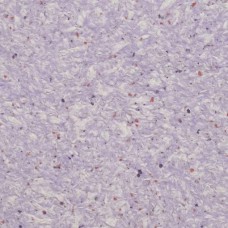 Рідкі шпалери YURSKI Тюльпан 1102 Фіолетові (Т1102)