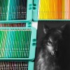 Преміум-набір кольорових масляних олівців KALOUR 240 кольорів в металевій коробці в інтернет супермаркеті PbayMarket!