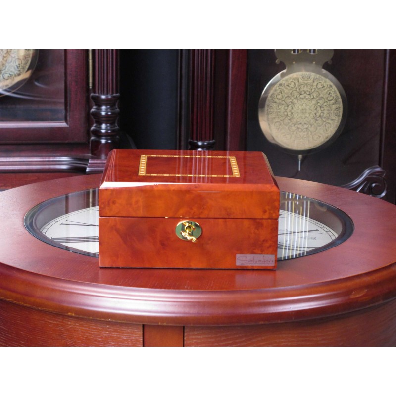 Скринька для зберігання годинників Salvadore Коричневий 803-6DBC