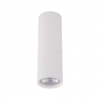 Точковий світильник TK Lighting TUNE Білий (TK10025)
