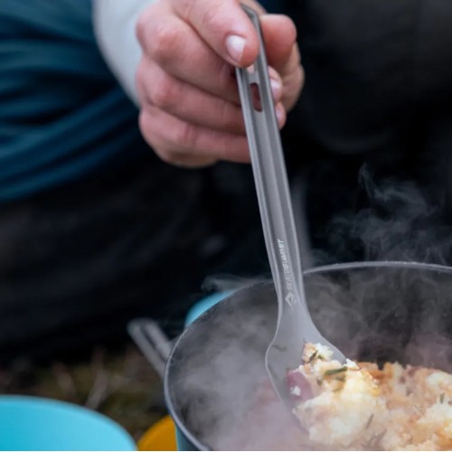 Ложка Sea To Summit Frontier UL Long Handle Spoon 21 см Сірий (1033-STS ACK034011-611701)