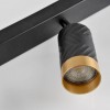Спот Polux Arras 5.5x59.5x16.5 см Чорно-золотистий (Pol323569)