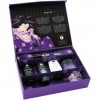 Подарунковий набір Shunga Naughtier Kit SX0587