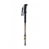 Палки трекинговые Tramp Carbon (TRA-TRR-015)