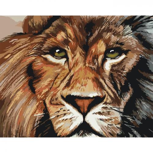 Картина за номерами Ідейка Тварини птахи Хижий погляд 2 40х50 см (KHO4024) Картина за номерами Ідейка Тварини птахи Хижий погляд 2 40х50 см (KHO4024)