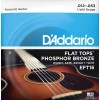 Струни для акустичної гітари 6 шт D'Addario EFT16 12/53