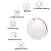 Іграшка для кішки Sundy USB smart м'яч-кулька з хаотичним рухом і червоною точкою, що випромінюється, Білий (301)