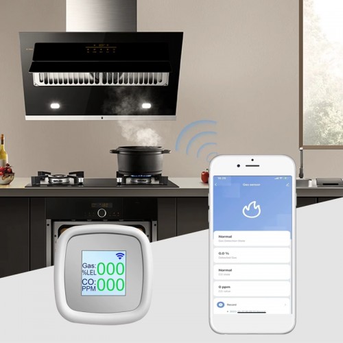 Wifi датчик витоку газу Nectronix GLD-20 з екраном та сиреною (101143)