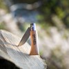 Складний ніж Opinel Inox №2 нержавіюча сталь 79 мм (001070)