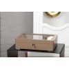 Скринька для зберігання годинників Salvadore WB/3420/8.TAN 320х245х87 мм Бежевий