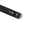 Нашийник з повідцем Liebe Seele Black Organosilicon Collar with Leash в інтернет супермаркеті PbayMarket!