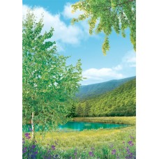 Фотошпалери Ніка Рідні простори 146х210