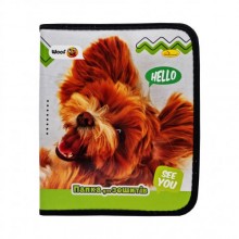 Папка для зошитів В5 Апельсин ПШ-01 на блискавці Hellodog!