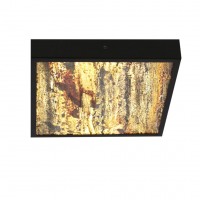Стельовий світильник Candellux Luxan 29x29x5.5 см Чорний (10-06684)