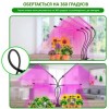 Світлодіодна фітолампа Full Spectrum 4в1 GrowLight 8 режимів яскравості + таймер управління (OJ146IU)