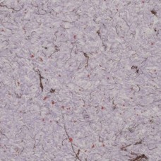 Рідкі шпалери YURSKI Троянда 614 Фіолетові (Т614)