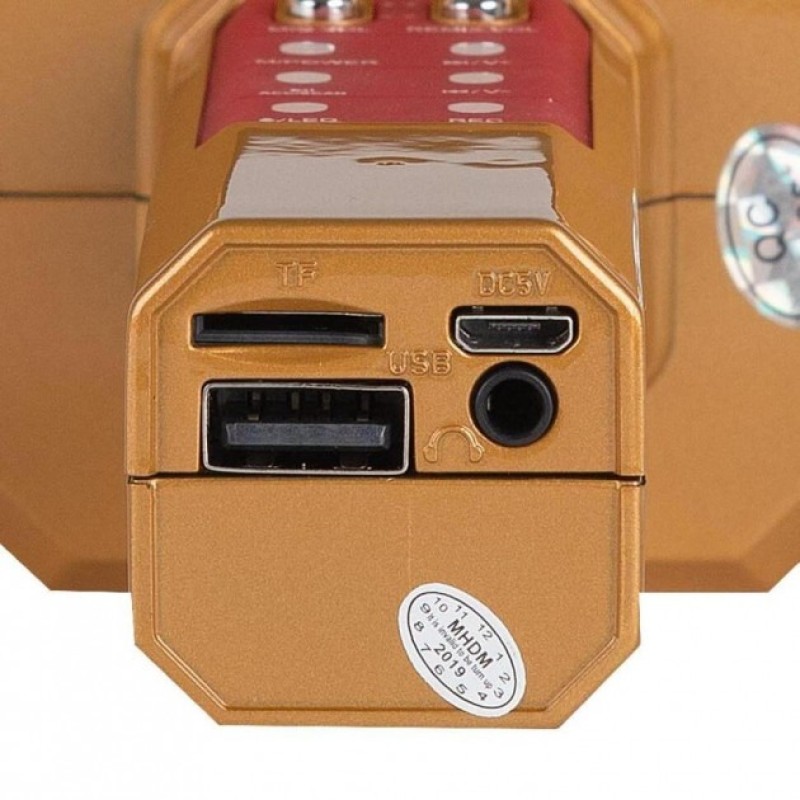 Мікрофон-караоке бездротовий WSTER WS-1828 White з функцією зміною голосу Золотий