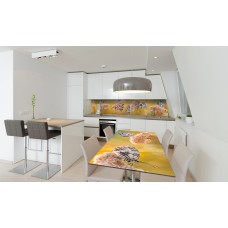 Наклейка вінілова на стіл Zatarga «Метелики та Колоски» 650х1200 мм Z180482/1st