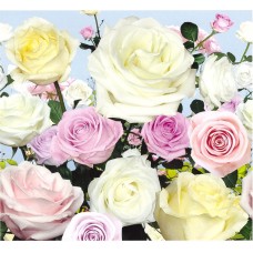 Фотошпалери Престиж №15 294х272